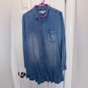 Pilcro and the Letterpress Denim Shirt Dress never worn